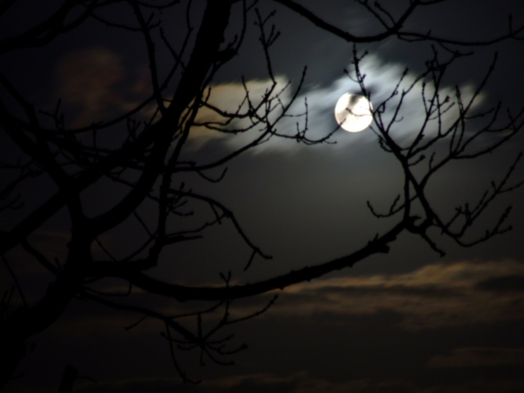 moonlight-ireland3